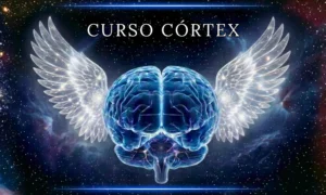 capa do curso de neurociência curso córtex