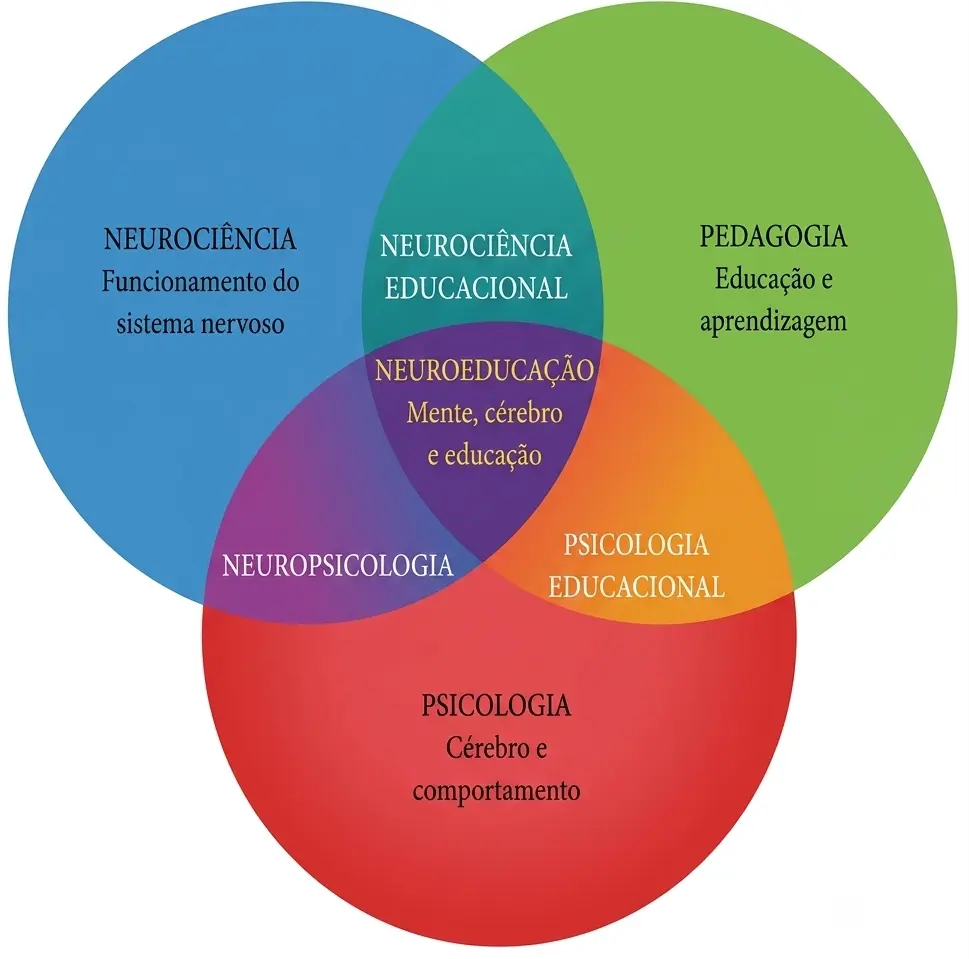 Ilustração sobre neuroeducação mostrando a aplicação da neurociência no processo de ensino, aprendizagem e desenvolvimento cognitivo.
